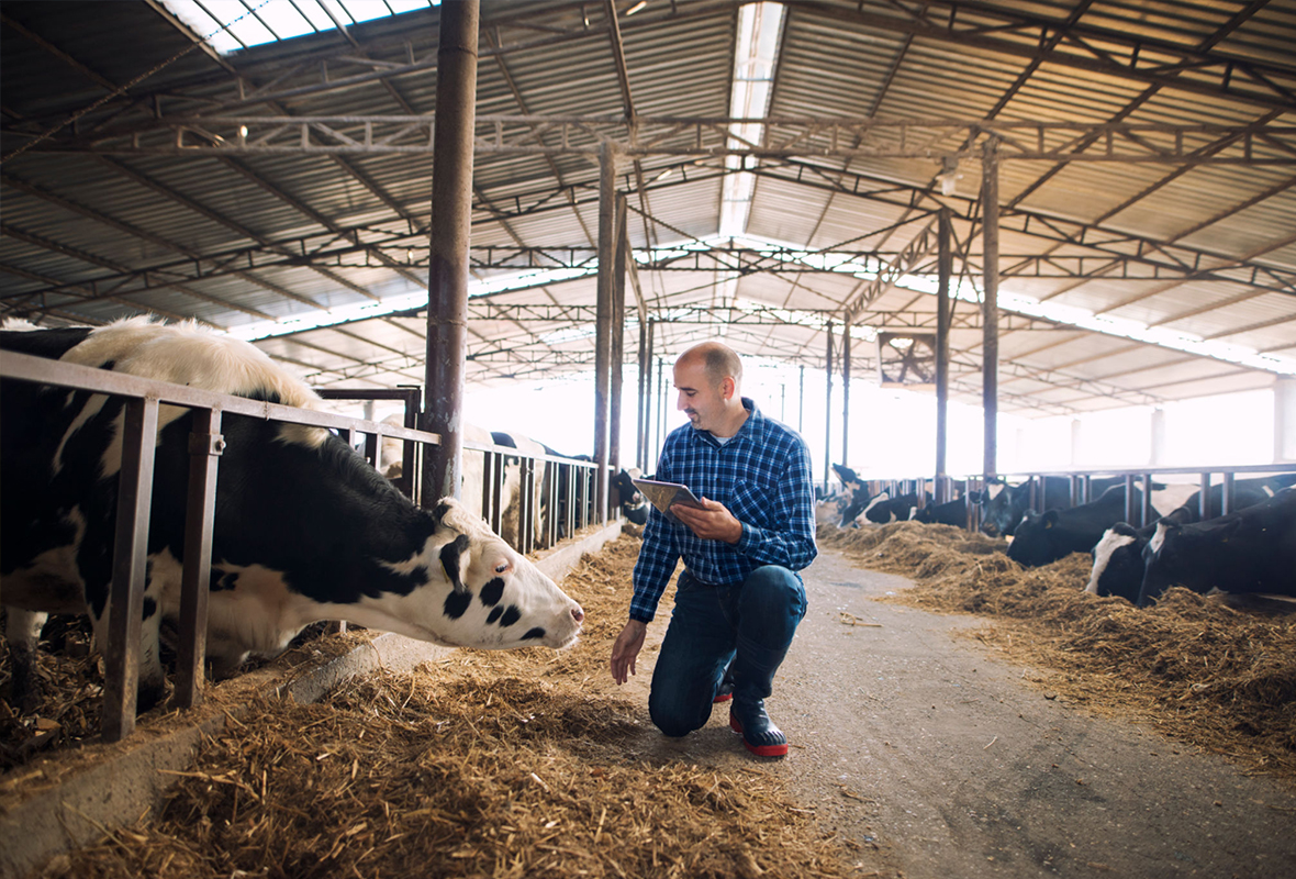 blog
